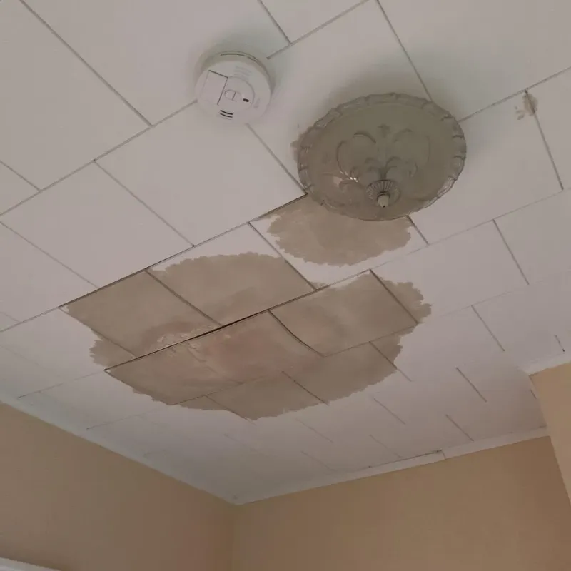 Ceiling Water Damage Repair in Many, LA