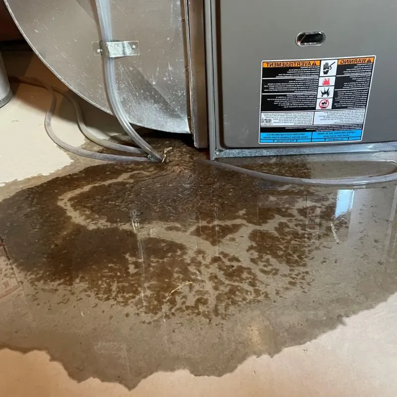 Pipe Burst and Leak Restoration in Many, LA
