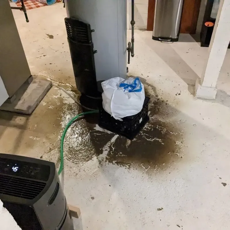 Sewage Backup Cleanup Service in Many, LA